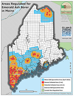 map of emerald ash borer quarantine in Maine